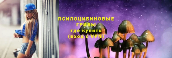 сатива Алексин