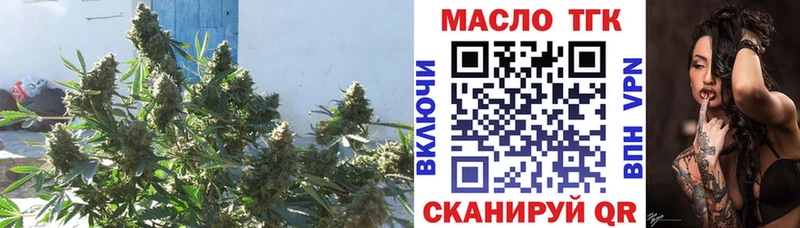 кракен tor  Тейково  Дистиллят ТГК THC oil  наркотики 