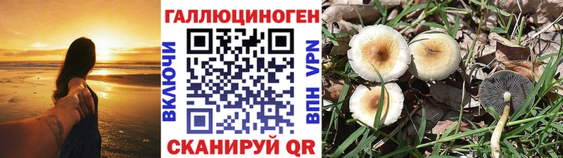 ОМГ ОМГ ссылки  где найти наркотики  сайты даркнета официальный сайт  Псилоцибиновые грибы мухоморы  Тейково 