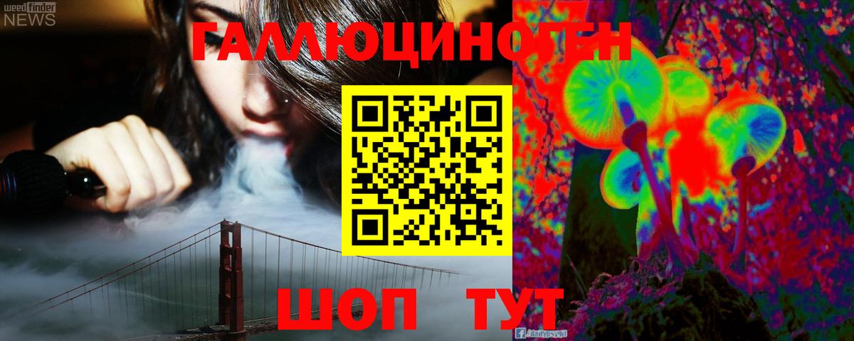 Тейково  Псилоцибиновые грибы мицелий  Вход с VPN  Псилоцибиновые грибы GOLDEN TEACHER 